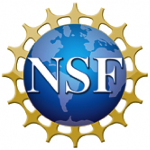 http://www.seaviewdata.org/wp-content/uploads/2016/11/nsf_logo-300x300.png